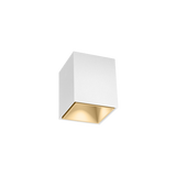 BOX MINI CEILING SURF 1.0 LED 1800-3000K