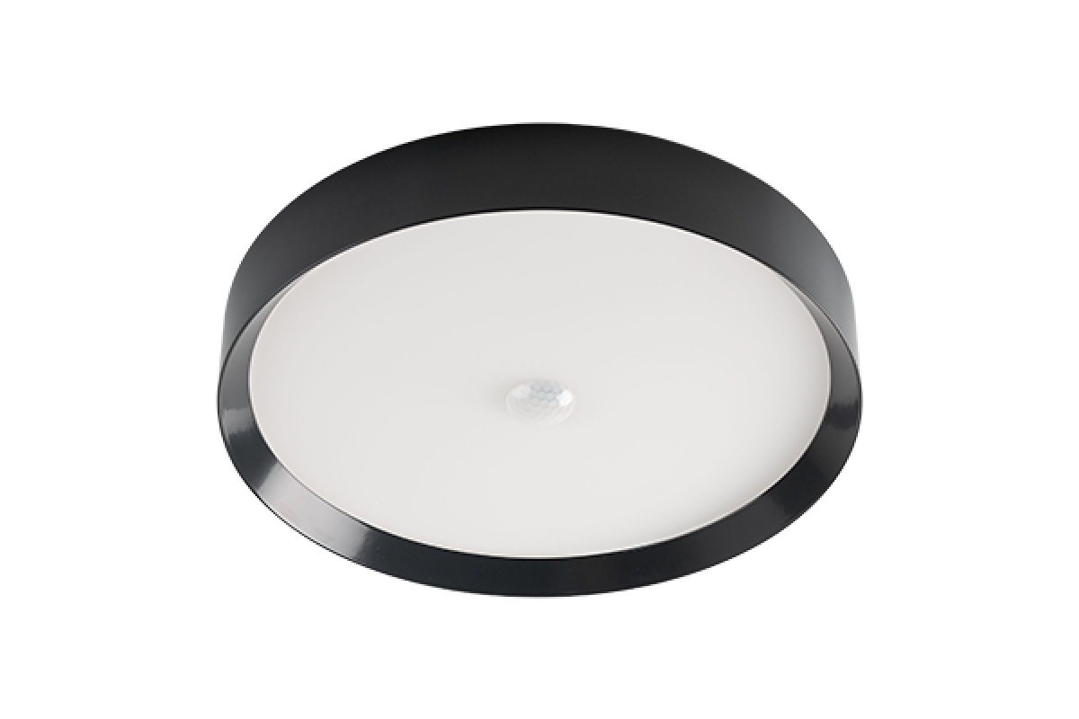 LED Ceiling Light RGBW