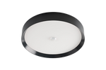 LED Ceiling Light RGBW