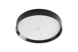 LED Ceiling Light RGBW