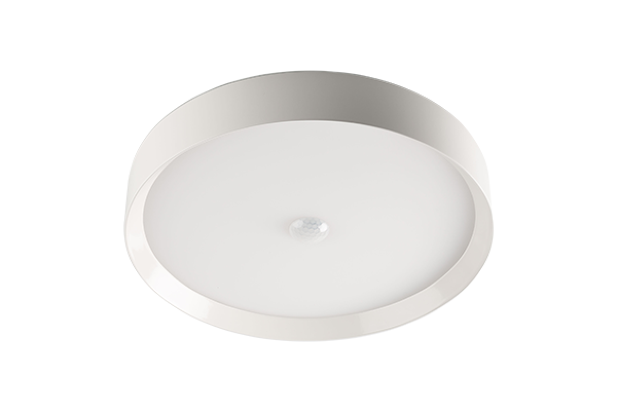 LED Ceiling Light RGBW