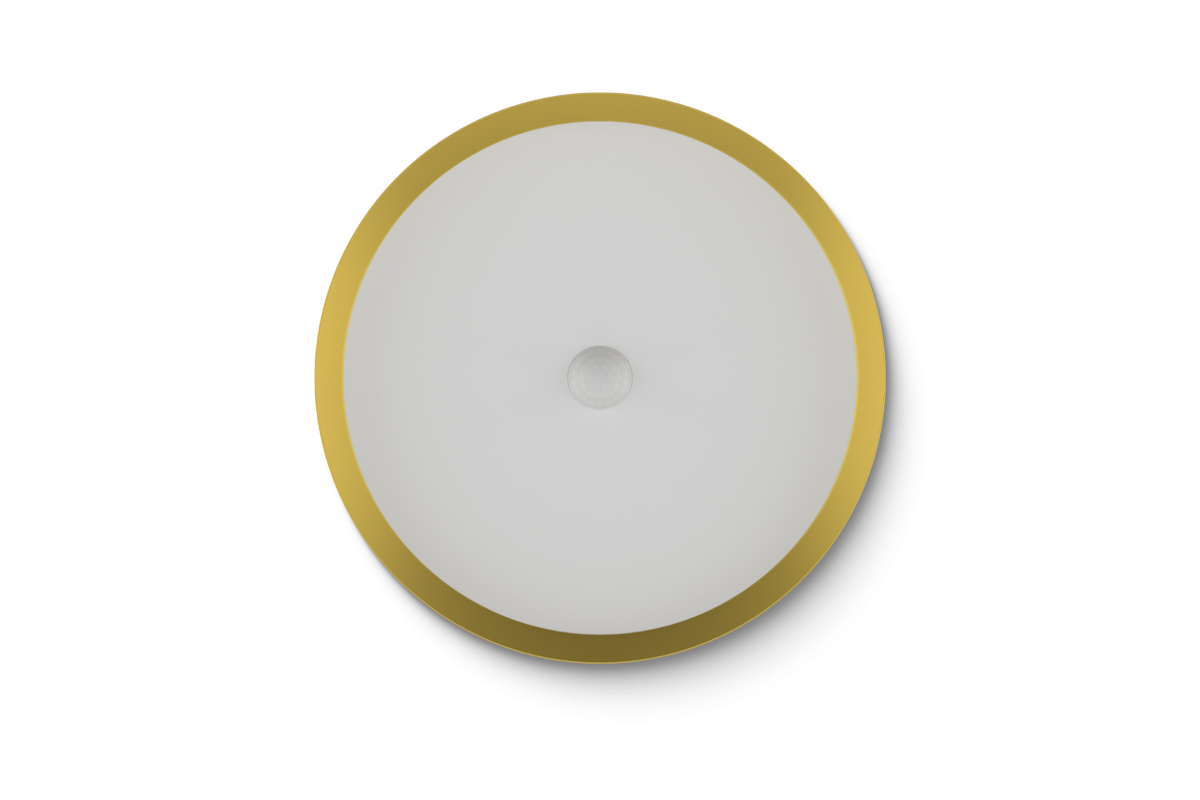 LED Ceiling Light RGBW